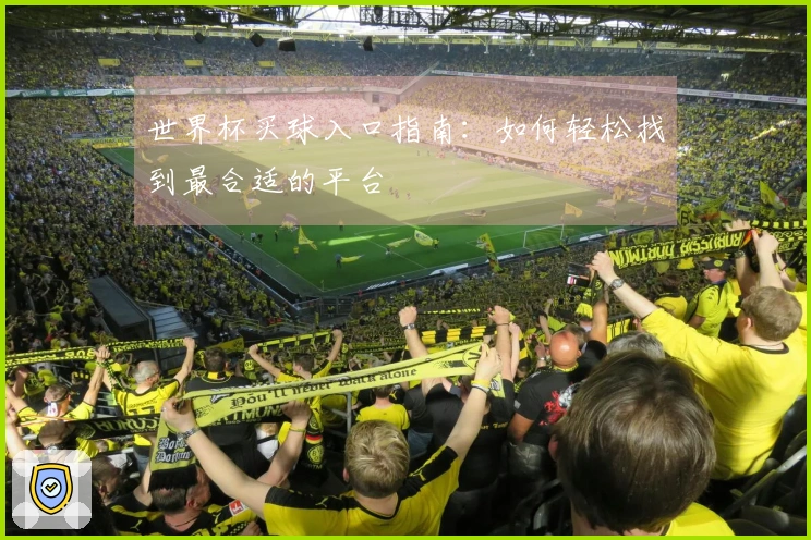 世界杯买球入口指南：如何轻松找到最合适的平台