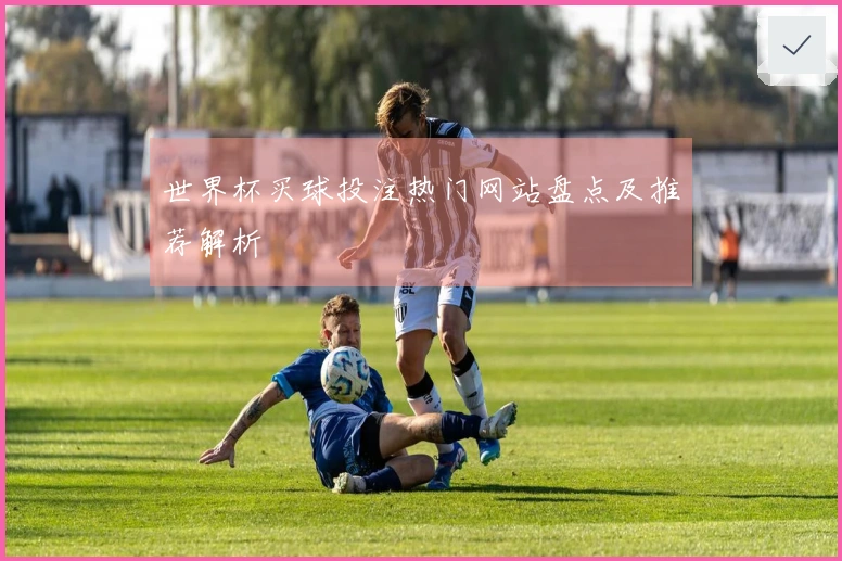 世界杯买球投注热门网站盘点及推荐解析