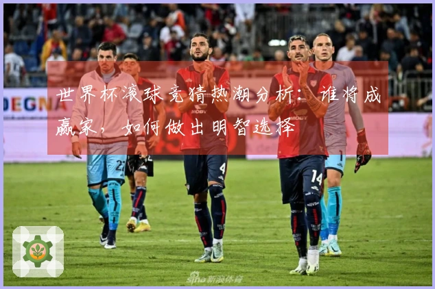 世界杯滚球竞猜热潮分析：谁将成赢家，如何做出明智选择
