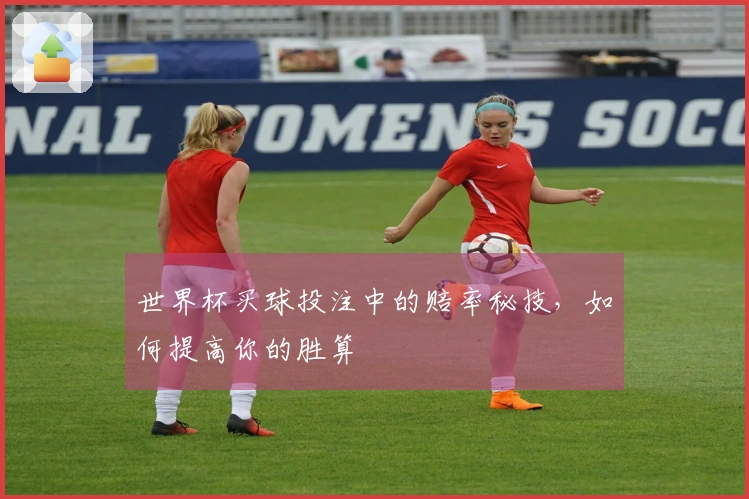 世界杯买球投注中的赔率秘技，如何提高你的胜算