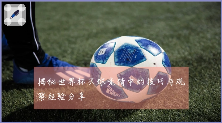 揭秘世界杯买球竞猜中的技巧与观察经验分享