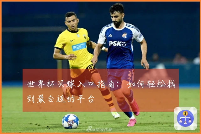 世界杯买球入口指南：如何轻松找到最合适的平台