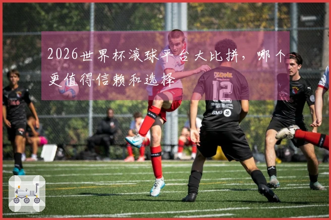 2026世界杯滚球平台大比拼，哪个更值得信赖和选择