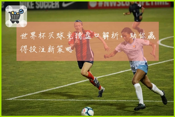 世界杯买球竞猜盘口解析，助你赢得投注新策略