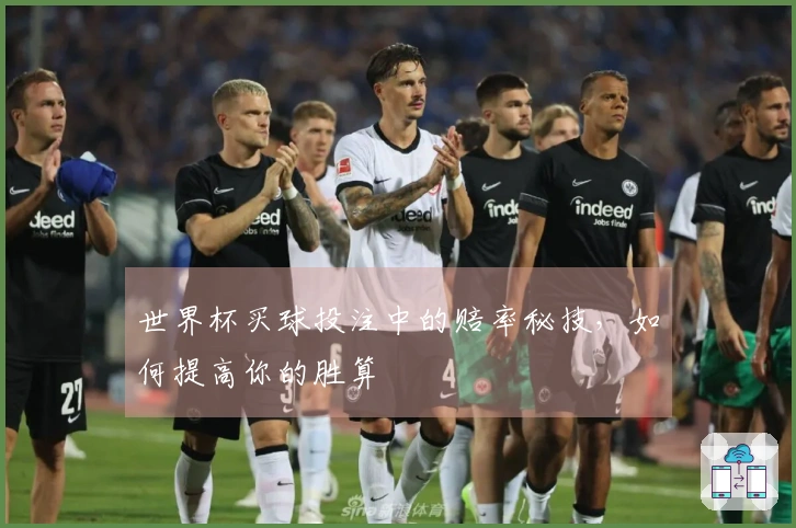 世界杯买球投注中的赔率秘技，如何提高你的胜算