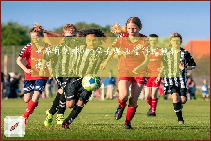 世界杯买球App究竟哪些值得信赖和使用