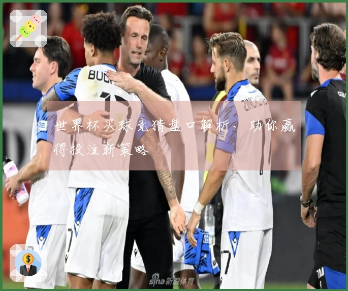 世界杯买球竞猜盘口解析，助你赢得投注新策略