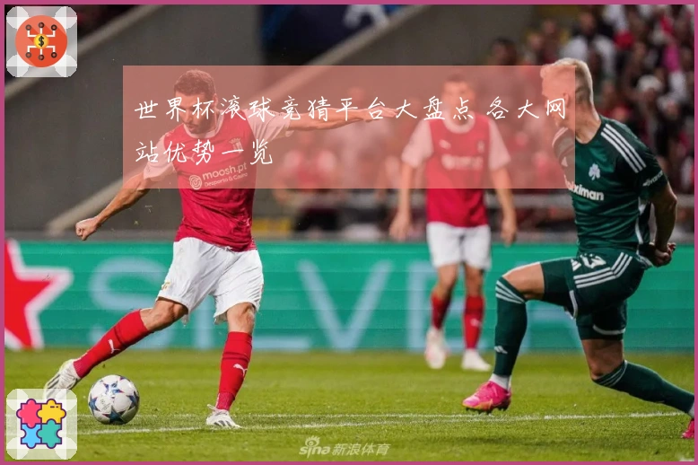 世界杯滚球竞猜平台大盘点 各大网站优势一览